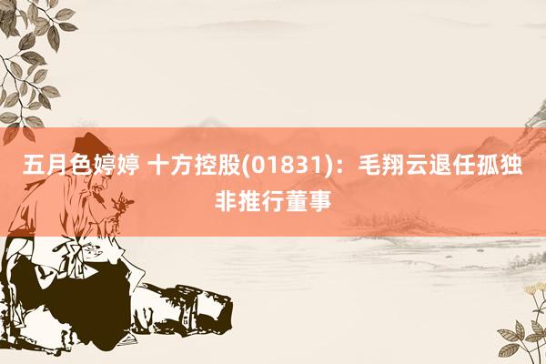 五月色婷婷 十方控股(01831)：毛翔云退任孤独非推行董事