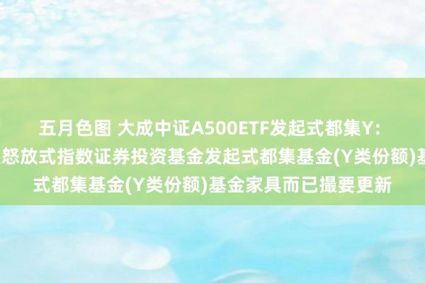 五月色图 大成中证A500ETF发起式都集Y: 大成中证A500来去型怒放式指数证券投资基金发起式都集基金(Y类份额)基金家具而已撮要更新