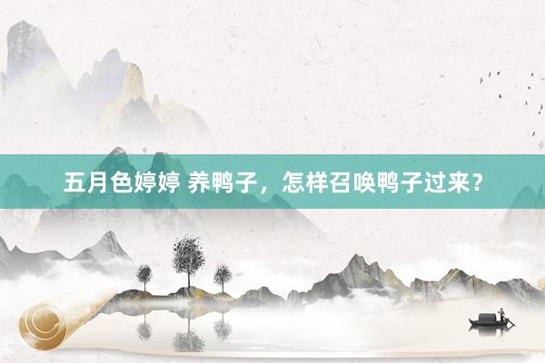 五月色婷婷 养鸭子，怎样召唤鸭子过来？