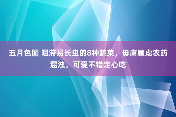 五月色图 阻滞易长虫的8种蔬菜，毋庸顾虑农药混浊，可爱不错定心吃