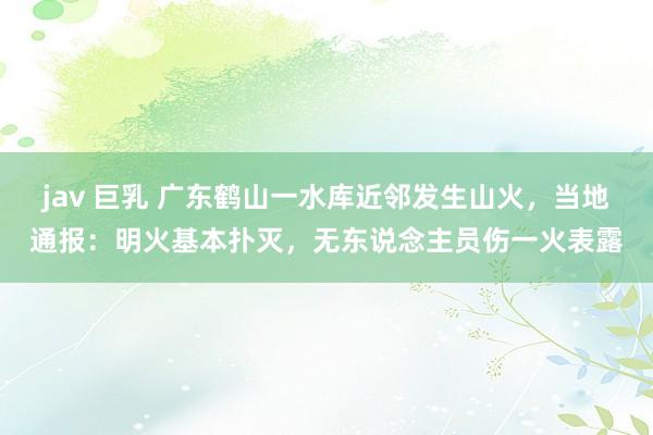 jav 巨乳 广东鹤山一水库近邻发生山火，当地通报：明火基本扑灭，无东说念主员伤一火表露