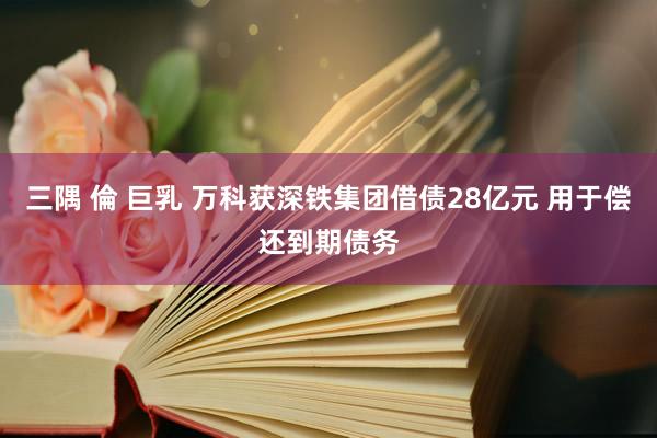 三隅 倫 巨乳 万科获深铁集团借债28亿元 用于偿还到期债务
