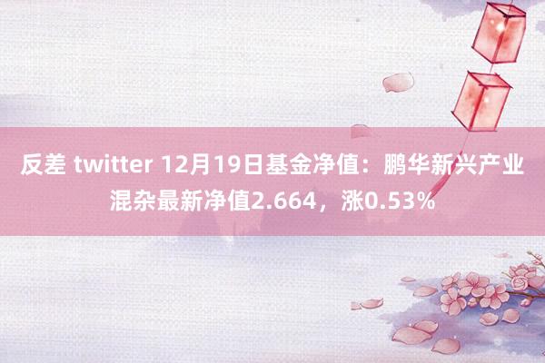 反差 twitter 12月19日基金净值：鹏华新兴产业混杂最新净值2.664，涨0.53%