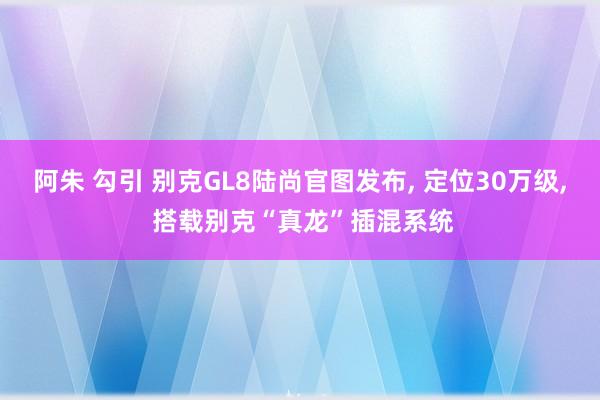 阿朱 勾引 别克GL8陆尚官图发布， 定位30万级， 搭载别克“真龙”插混系统