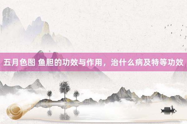 五月色图 鱼胆的功效与作用，治什么病及特等功效