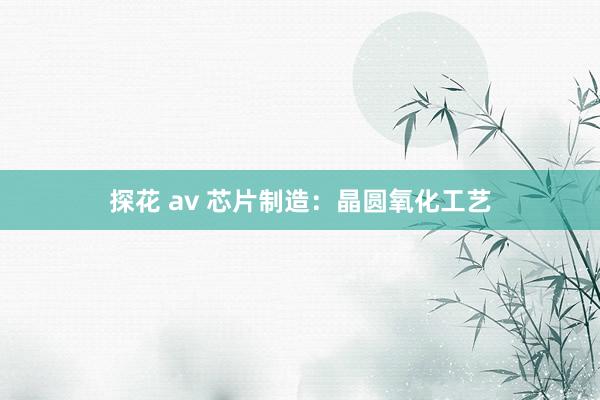 探花 av 芯片制造：晶圆氧化工艺