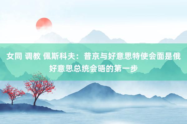 女同 调教 佩斯科夫：普京与好意思特使会面是俄好意思总统会晤的第一步