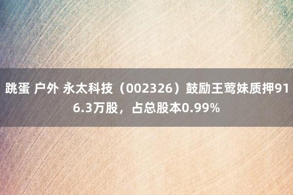 跳蛋 户外 永太科技（002326）鼓励王莺妹质押916.3万股，占总股本0.99%