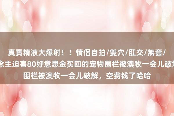 真實精液大爆射！！情侶自拍/雙穴/肛交/無套/大量噴精 主东说念主迫害80好意思金买回的宠物围栏被澳牧一会儿破解，空费钱了哈哈