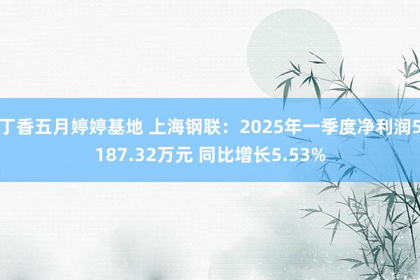 丁香五月婷婷基地 上海钢联：2025年一季度净利润5187.32万元 同比增长5.53%